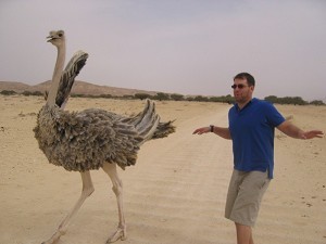 Me and the Ostrich       
