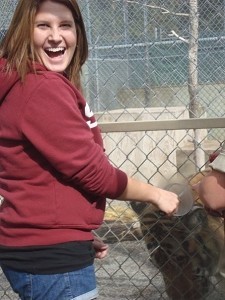 I got to feed a tiger!