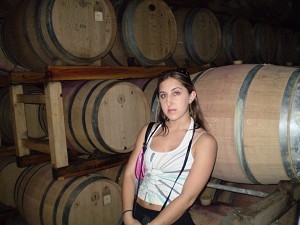 chilean winery                     